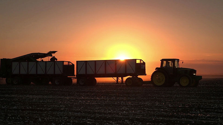 Фильм «Олам интернэшнл»