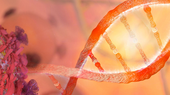 Локализация интранета AstraZeneca