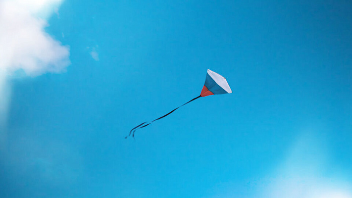 Фильм о проекте «Дружная семья»